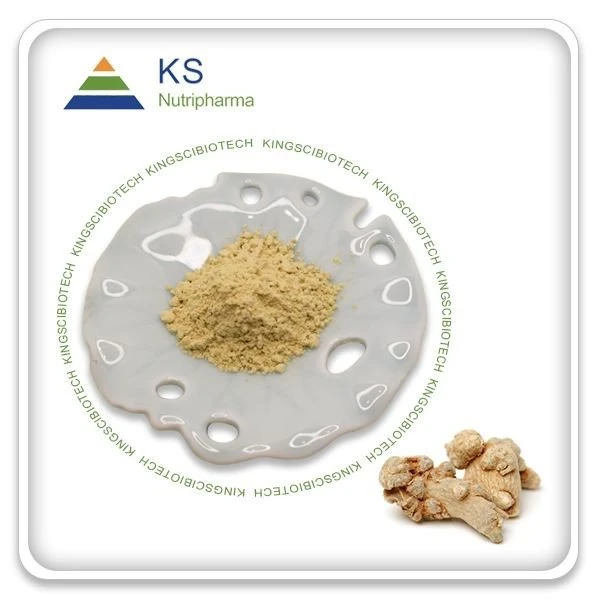Panax notoginseng экстракт