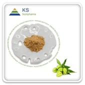 Экстракт Humulus Lupulus