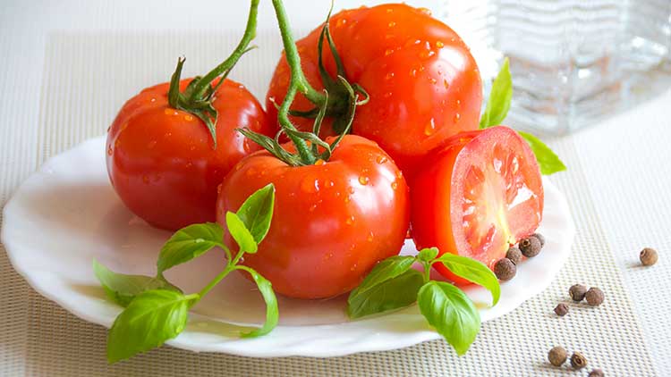 tomato-fruit tomato-fruit