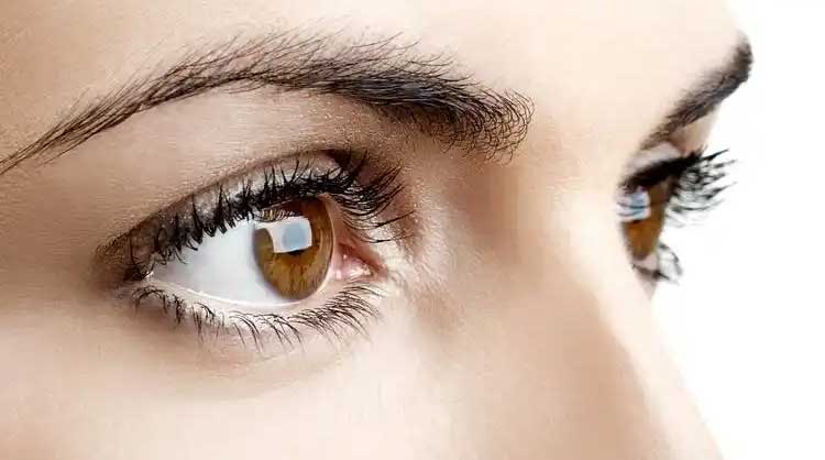 eyehealth eyehealth