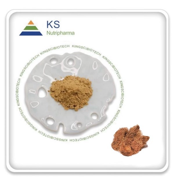 Экстракт кукурузных рылец